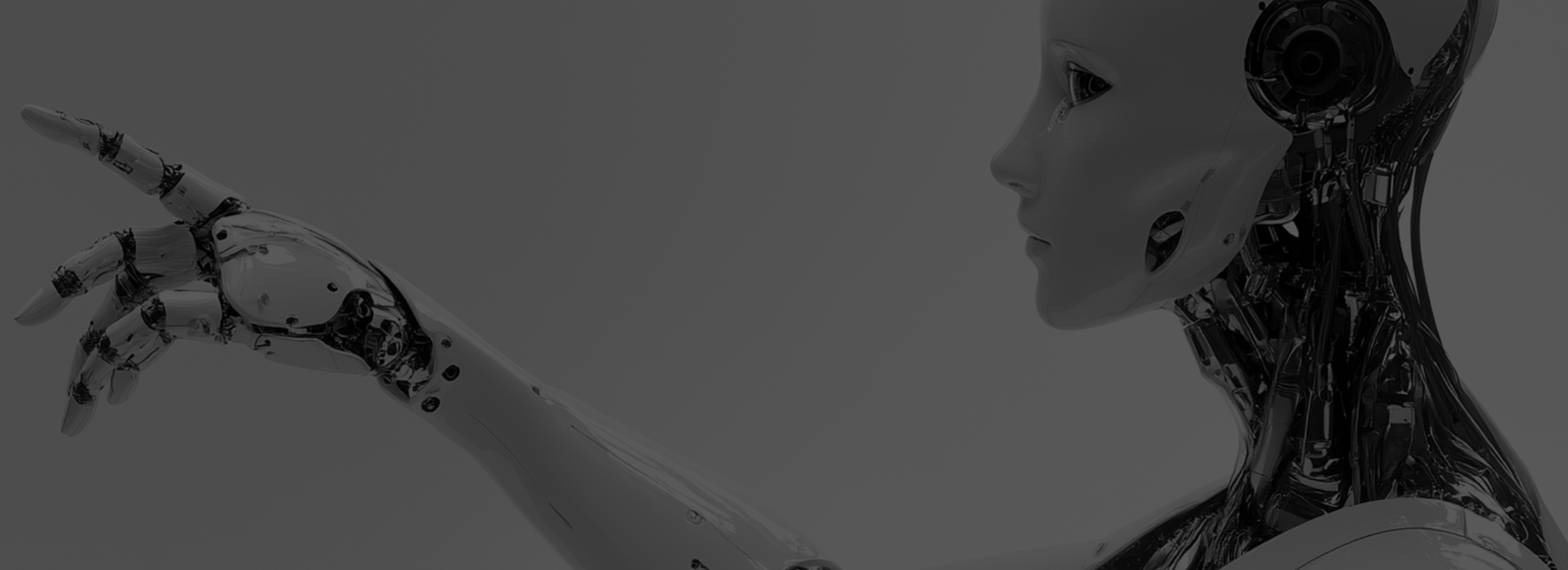 Neiyebanner2