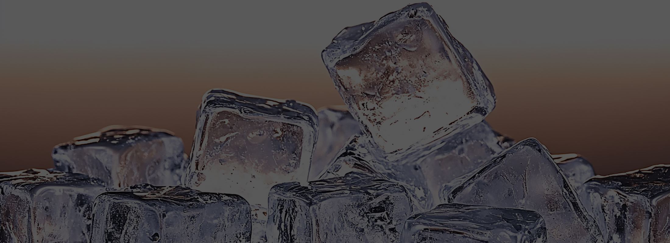 neiyebanner1